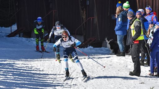 Jak vybrat lyžařské hůlky Haakon